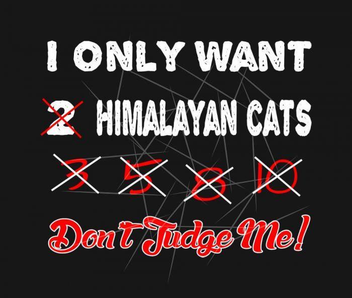 I Only Want 2 3 5 Himalayan Cat Dont Judge Me Tees SVG
