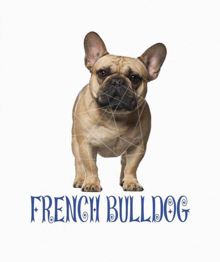 Love French Bulldog Puppy Dog Blue Girls PNG Free Download
