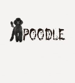 Poodle - Cute PNG Free Download