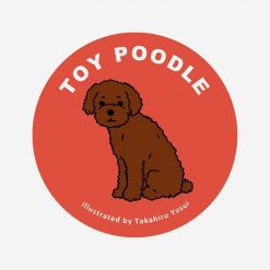 Toy Poodle (White) PNG Free Download