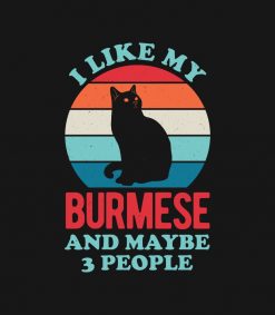 Burmese Cat Funny PNG Free Download