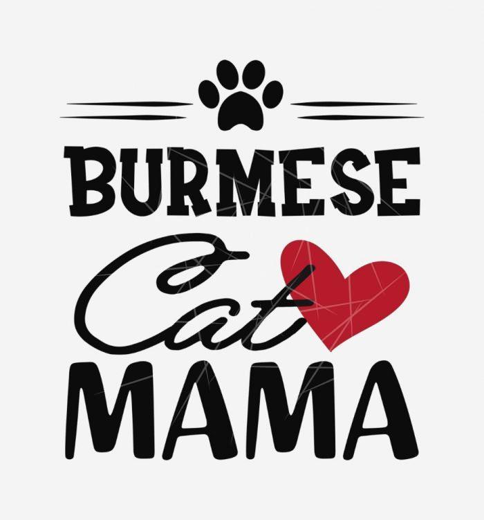 Burmese Cat Mama PNG Free Download