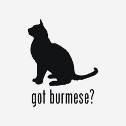 Burmese Cat PNG Free Download