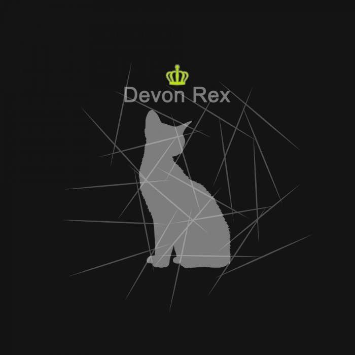 Devon Rex g5 PNG Free Download