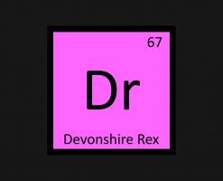 Dr - Devonshire Rex Cat Chemistry Element Symbol PNG Free Download
