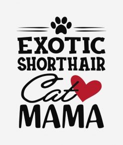 Exotic Shorthair Cat Mama PNG Free Download