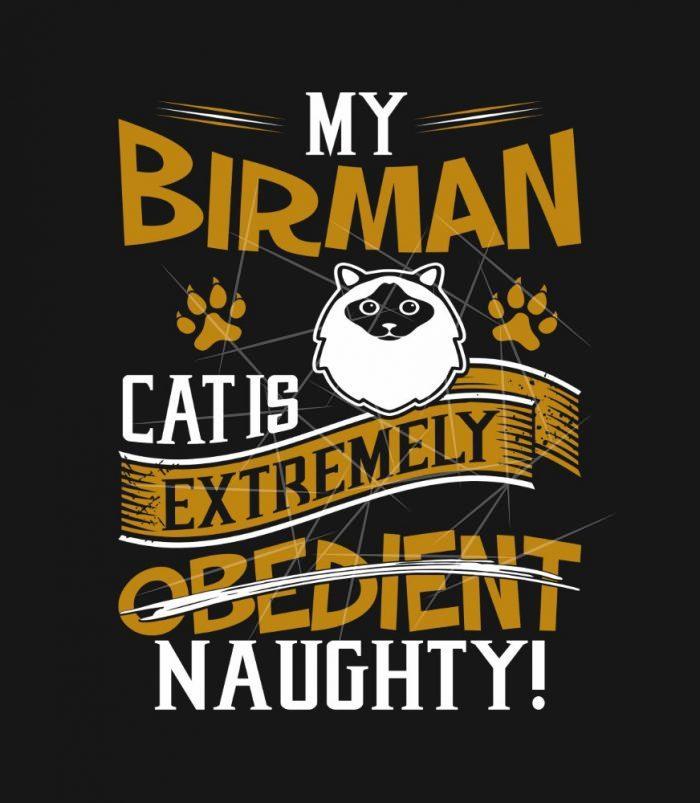 My Birman Extremely Obedient Naughty PNG Free Download
