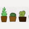 Womens Cacti Garden 3 - 4 PNG Free Download