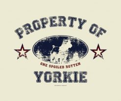 Yorkie PNG Free Download
