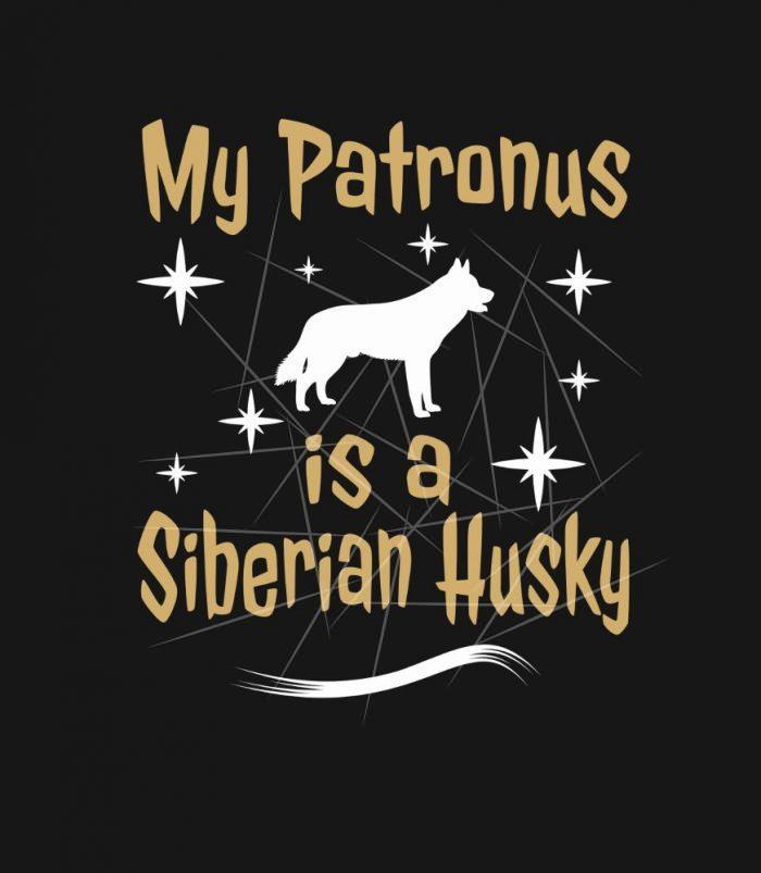 My Patronus Is A Siberian Husky Dog PNG Free Download