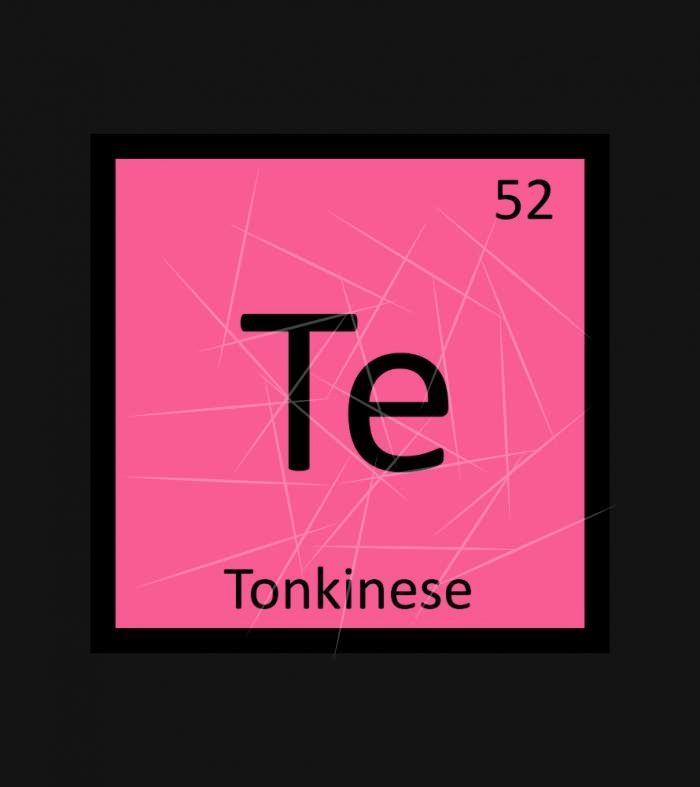 Te - Tonkinese Cat Chemistry Periodic Table Symbol PNG Free Download