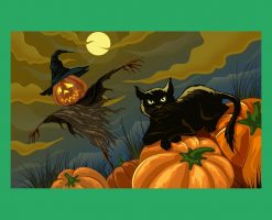Black cat and pumpkin scarecrow PNG Free Download